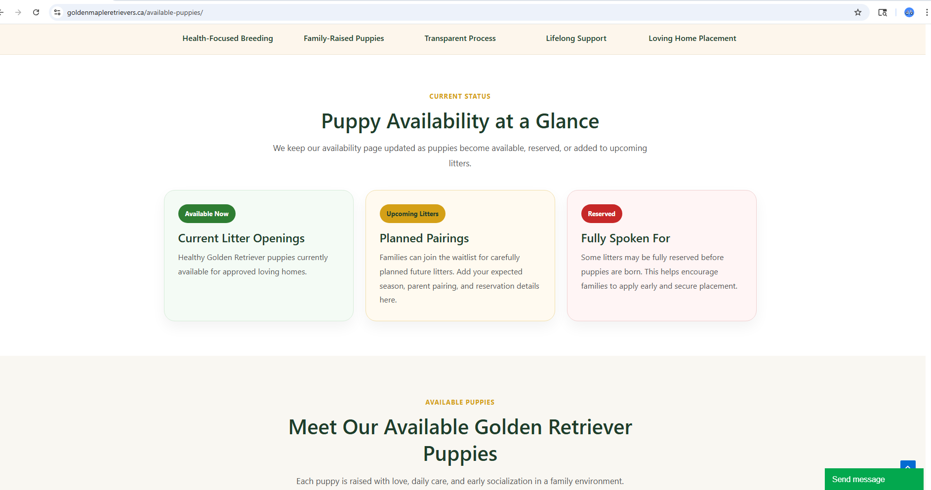 Why Routine Matters for a New Puppy
