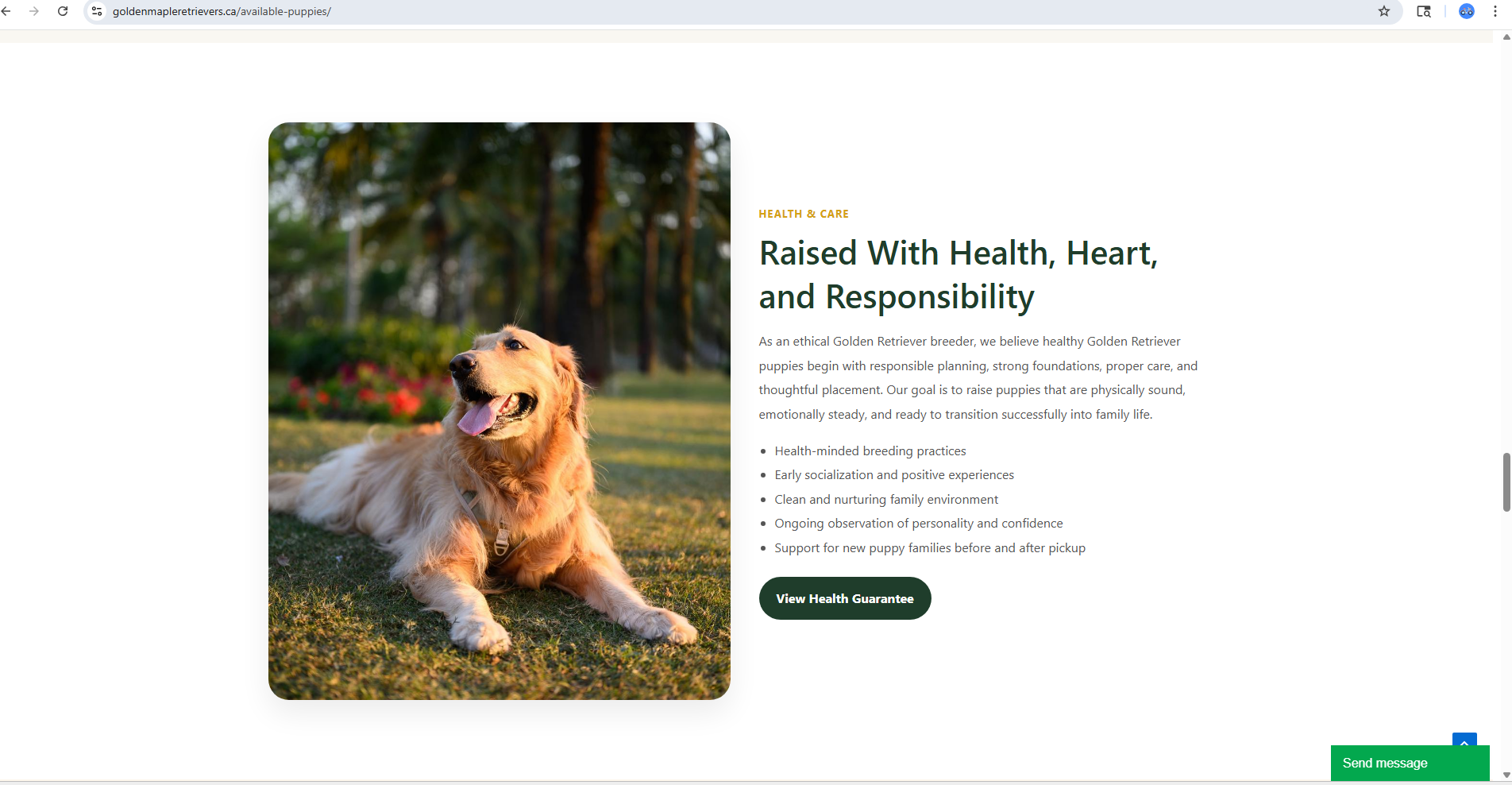The Importance of Early Puppy Socialization and Handling