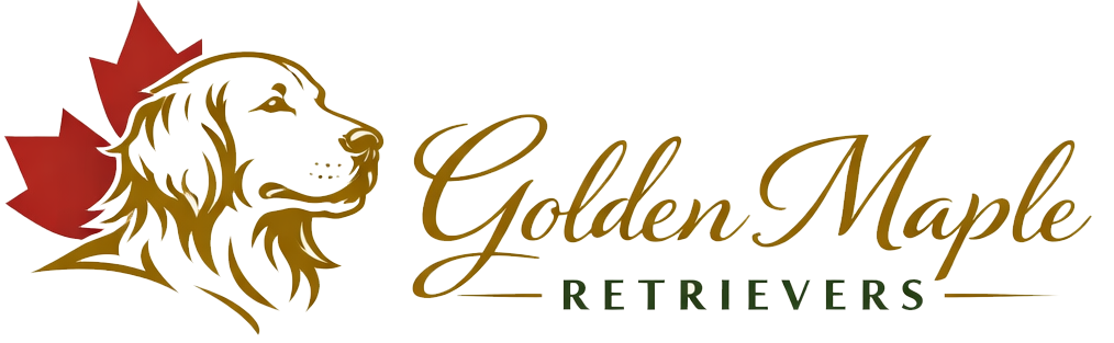 goldenmapleretrievers.com icon logo